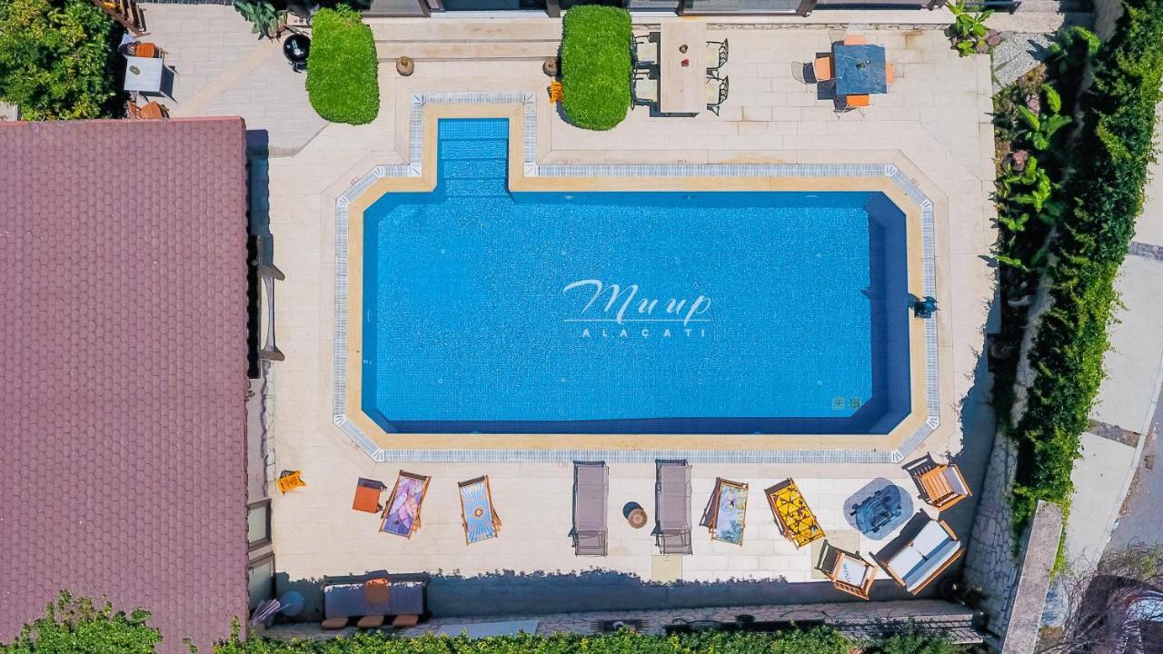 Muup 阿拉恰特 外观 照片